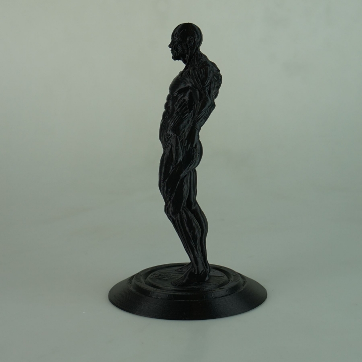 human figure male education 3D print model - Mito3D