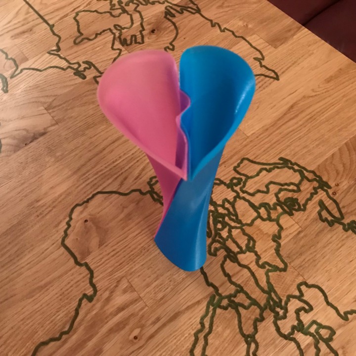 twisted heart vase fun print & garden 3D print model - Mito3D