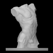 torso cae hombre escanear cuerpo figura masculino yeso 3d print model - Mito3D