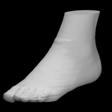 skin surface foot education anatomy body feet human 3d print model - Mito3D