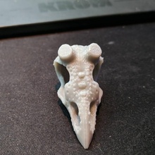 delirio cranio formazione scolastica corvo Corvo steampunk 3d print model - Mito3D