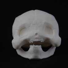 pikachu pok kafatası pokemon sanat hayranı kemikler kafatasları elektrik poke pokeskull pokedex 3d print model - Mito3D