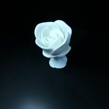 Rosa jardín flor 3d print model - Mito3D