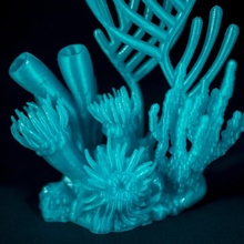 mermelada arrecife educación complejo modelo escultura miniatura esculpir coral vr 3d print model - Mito3D