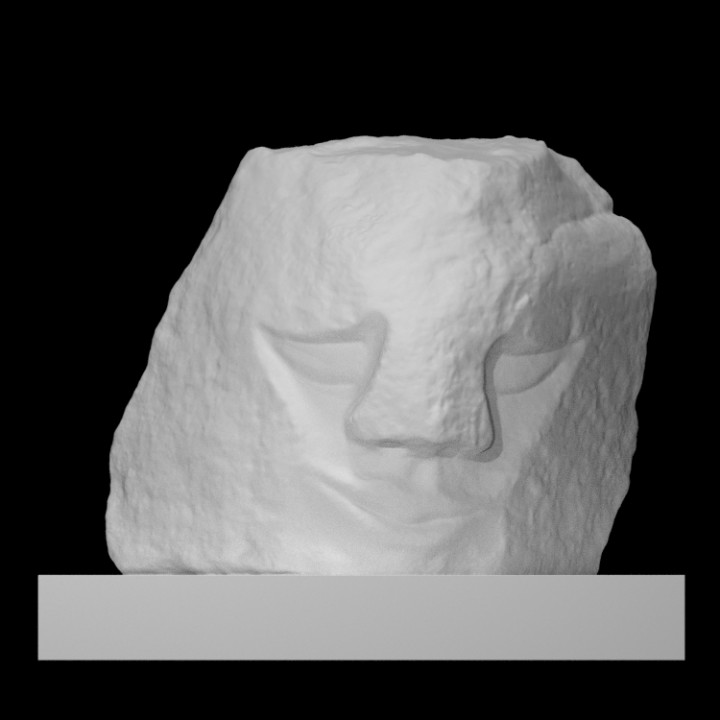 visage analyse art portrait sculpture calcul rue Roche 3D print model - Mito3D