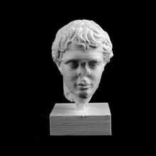 masculine head petit palais paris scan 3d print model - Mito3D
