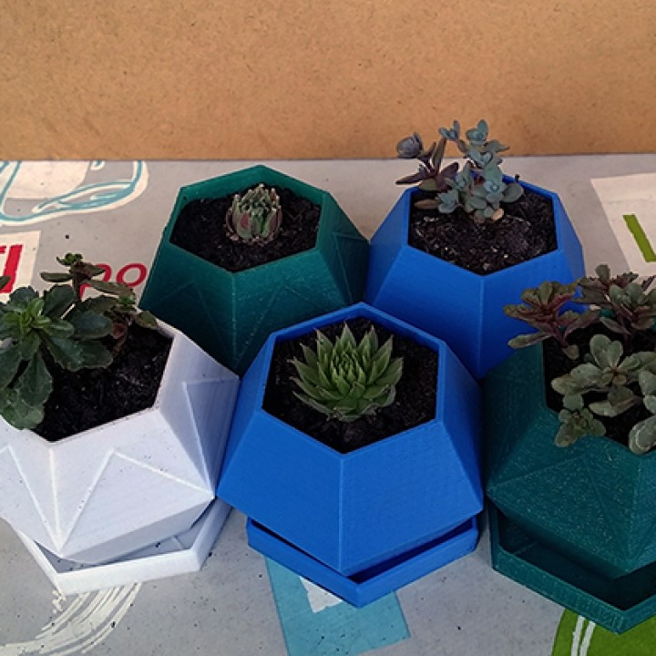 Hexagon sukkulenten pflanzgef saftig Pflanzer Vase blumentopf kaktus kakteen pflanzengef 3D print model - Mito3D