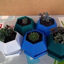 esagono sukkulenten pflanzgef succulenta fioriera vaso blumentopf kaktus kakteen pflanzengef 3d print model - Mito3D