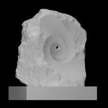 spirale analyse 3d print model - Mito3D