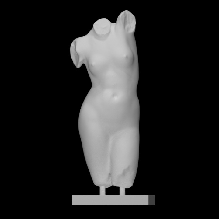 nu fêmea tronco Varredura escultura 3D print model - Mito3D