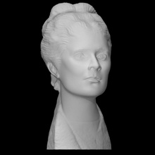 fallimento dr Shirley Sherwood scansione scultura donna bronzo botanico 3d print model - Mito3D