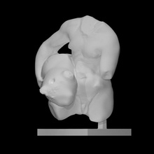 romano marmo silenio scansione 3d print model - Mito3D