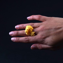 lion ring 2 jewellery fish 3d print model - Mito3D