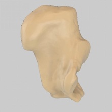 giaa biblioth anatomique anatomic library - calcaneus education 3d print model - Mito3D