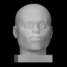 numen head man scan modern portrait sculpture male african divine 3d print model - Mito3D