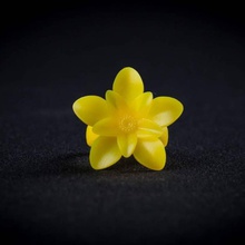 spring time jewellery flower ring 3d print model - Mito3D