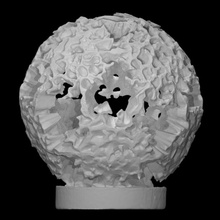 Coquino coral Varredura moderno escultura esfera resumo polímeros 3d print model - Mito3D