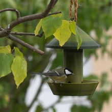 colgando alimentación sitio aves comida dispensador pajarera jardín pájaro comedero pájaros mascota plantador 3d print model - Mito3D