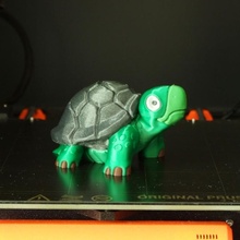 jovem tortollan multi material remixar tartaruga dual color mmu 3d print model - Mito3D