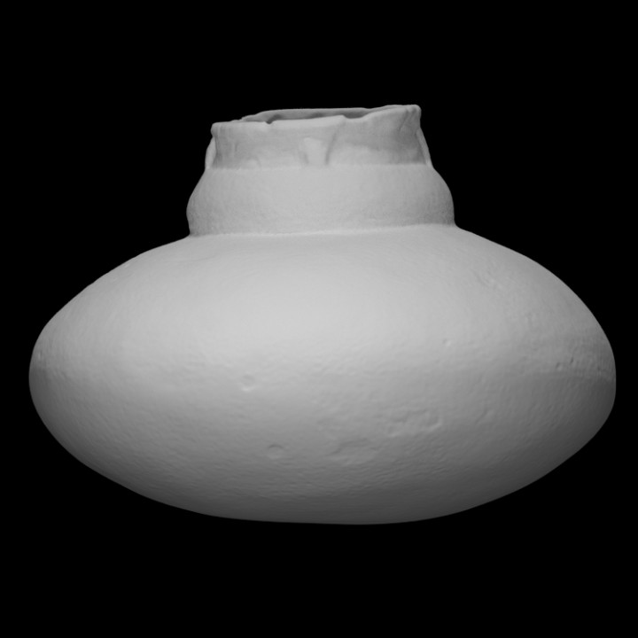 botella escanear historia menaje arqueología platos 3D print model - Mito3D