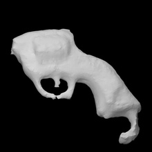 gun charm scan history arm shot powder archeology 3d print model - Mito3D