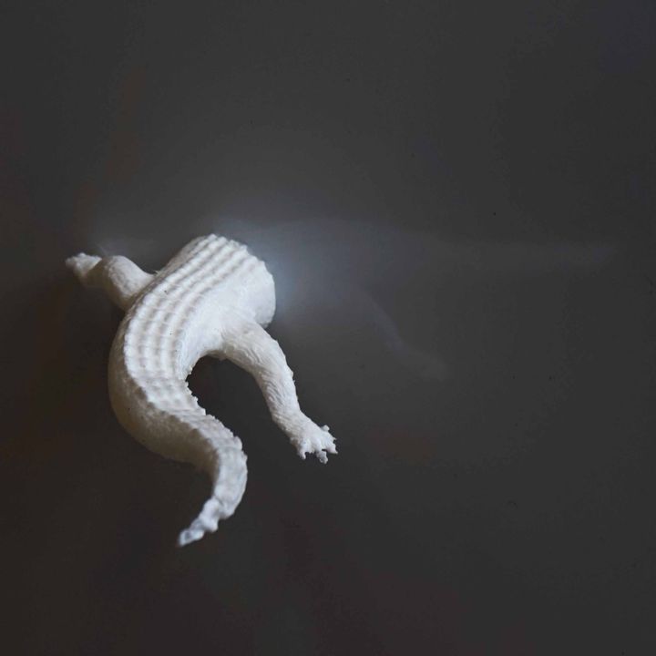 animal behinds crocodile - fridge magnet wall decoration & garden animals fridgemagnet keyhole beautiful-creatures 3D print model - Mito3D