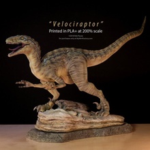 velociraptor education animal dino dinosaur jurassic movie sculpture stand statue zbrush park sculpt museum raptor premium carnivore 3d print model - Mito3D