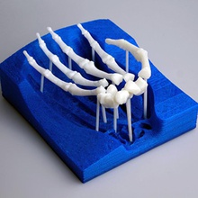 mano scheletrica l'istruzione 3d print model - Mito3D