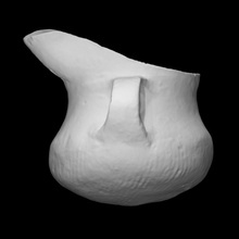 vaso becco scansione storia nave casalinghi archeologia 3d print model - Mito3D