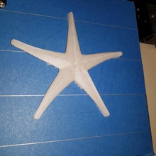 starfish toys & games nature 3d print model - Mito3D