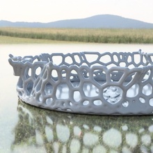 Projeto tigela Diversão coração corações amar Voronoi meshmixer fusão 360 3d print model - Mito3D