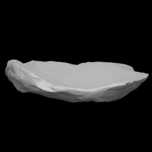 oyster shell scan animal sea archeology 3d print model - Mito3D