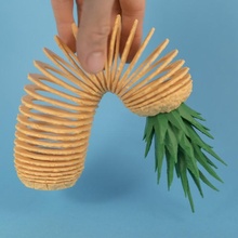 pineapple springo size apple fruit pine spring toy slinky pinapple 3d print model - Mito3D