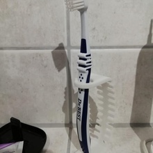 escova dente suporte porta dentes 3d print model - Mito3D