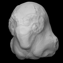 terracotta ram figurine scan animal head portrait sculpture sheep 3d print model - Mito3D