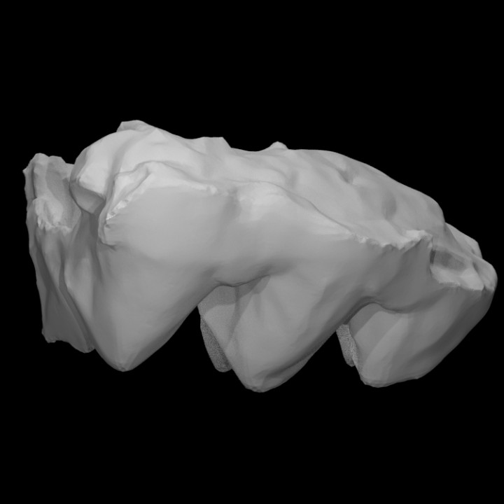 mastodonte molare scansione osso storia fossile mammut archeologia estinto 3D print model - Mito3D