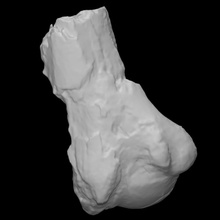 gigante terra bradipo omero scansione anatomia animale osso 3d print model - Mito3D