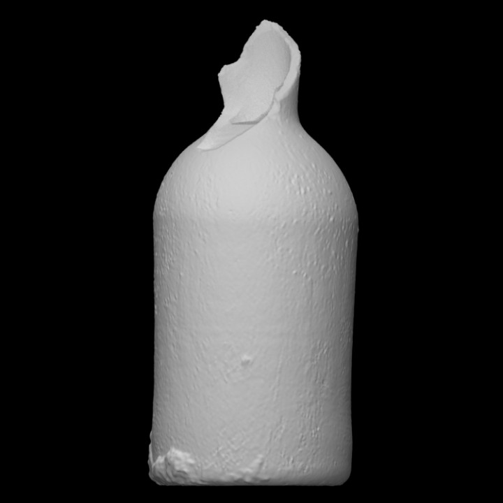 Hexe Flasche Scan Glas Schiff Kamin Verzauberung 3D print model - Mito3D