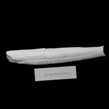 monroe mastodonte sinistra guancia zanna scansione anatomia animale osso mammut estinto 3d print model - Mito3D