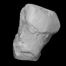 mastodonte metatarsiano ii escanear anatomía animal hueso mamut arqueología extinto 3d print model - Mito3D