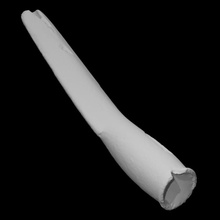 alate-stemmed stone pipe scan history smoking tobacco archeology stemmed alate chlorine 3d print model - Mito3D