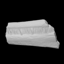 ichthyosaur jaw scan anatomy animal bone history reptile marine archeology extinct 3d print model - Mito3D