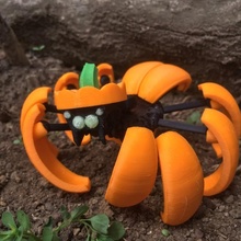 Halloween zucca ragno trasformatore giardino robot trasformando articolato 3d print model - Mito3D