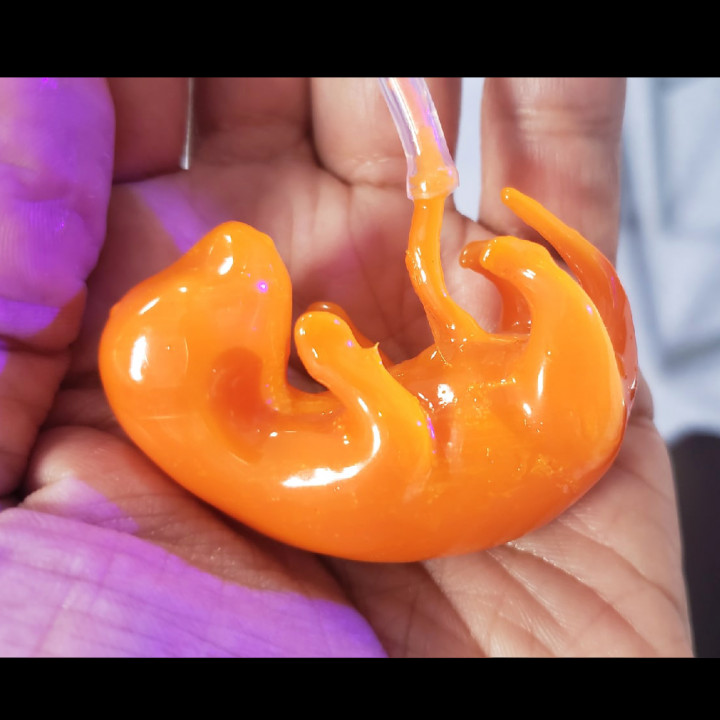 cute lil embryo bio dog human biology rat fredasp 3D print model - Mito3D