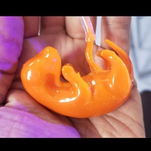 lindo pequeño embrión bio perro humano biología rata fredasp 3d print model - Mito3D