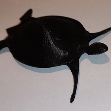 mar tartaruga animal 3d print model - Mito3D