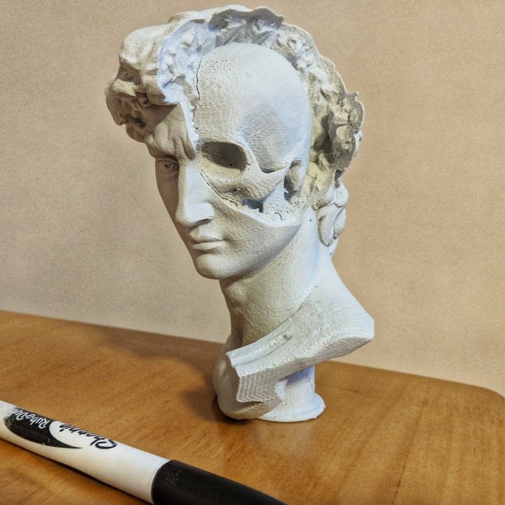 David cráneo educación busto david geoda michelangelo 3D print model - Mito3D