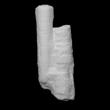 cefalópode ortoceras Varredura anatomia animal história mar Concha fóssil arqueologia molusco 3d print model - Mito3D
