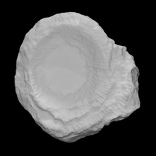 corallo ketophyllum scansione storia mare conchiglia archeologia estinto 3d print model - Mito3D