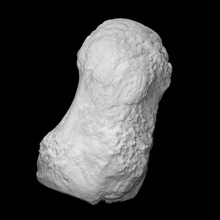 mammoth pisiform bone scan anatomy animal history elephant mammal archeology extinct 3d print model - Mito3D